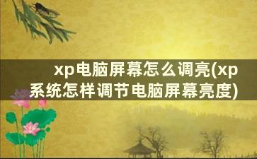 xp电脑屏幕怎么调亮(xp系统怎样调节电脑屏幕亮度)