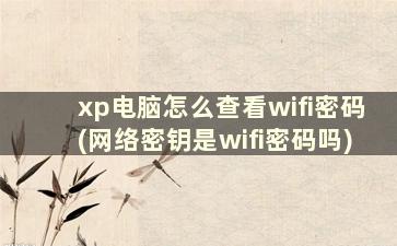 xp电脑怎么查看wifi密码(网络密钥是wifi密码吗)