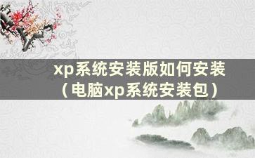 xp系统安装版如何安装（电脑xp系统安装包）