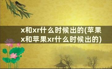 x和xr什么时候出的(苹果x和苹果xr什么时候出的)