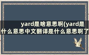 yard是啥意思啊(yard是什么意思中文翻译是什么意思啊了)