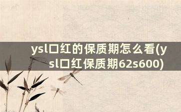 ysl口红的保质期怎么看(ysl口红保质期62s600)