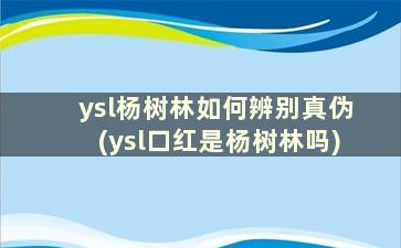 ysl杨树林如何辨别真伪(ysl口红是杨树林吗)