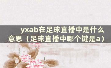 yxab在足球直播中是什么意思（足球直播中哪个键是a）