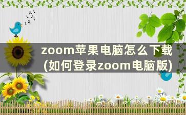 zoom苹果电脑怎么下载(如何登录zoom电脑版)