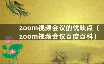 zoom视频会议的优缺点（zoom视频会议百度百科）