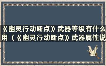 《幽灵行动断点》武器等级有什么用（《幽灵行动断点》武器属性说明）