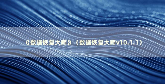 《数据恢复大师》（数据恢复大师v10.1.1）