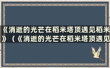 《消逝的光芒在稻米塔顶遇见稻米》（《消逝的光芒在稻米塔顶遇见稻米》）