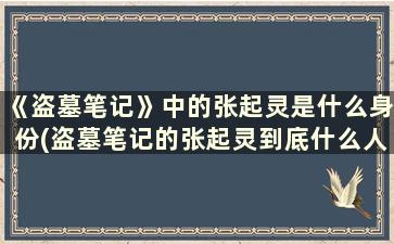 《盗墓笔记》中的张起灵是什么身份(盗墓笔记的张起灵到底什么人)