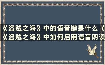 《盗贼之海》中的语音键是什么（《盗贼之海》中如何启用语音朗读）