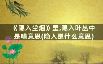 《隐入尘烟》里,隐入叶丛中是啥意思(隐入是什么意思)