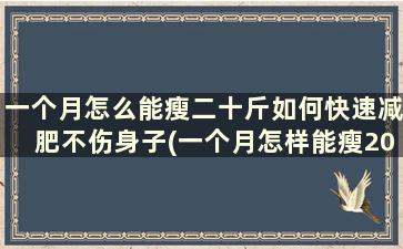 一个月怎么能瘦二十斤如何快速减肥不伤身子(一个月怎样能瘦20斤)