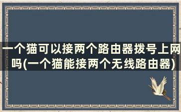 一个猫可以接两个路由器拨号上网吗(一个猫能接两个无线路由器)