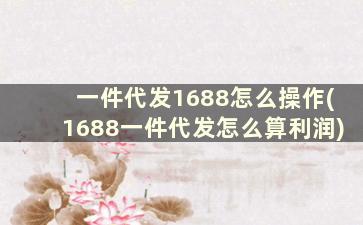 一件代发1688怎么操作(1688一件代发怎么算利润)