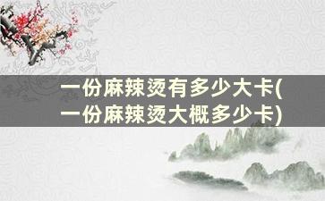 一份麻辣烫有多少大卡(一份麻辣烫大概多少卡)