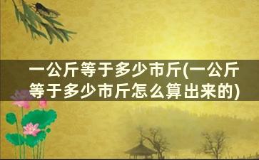 一公斤等于多少市斤(一公斤等于多少市斤怎么算出来的)