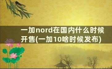 一加nord在国内什么时候开售(一加10啥时候发布)