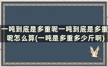 一吨到底是多重呢一吨到底是多重呢怎么算(一吨是多重多少斤啊)