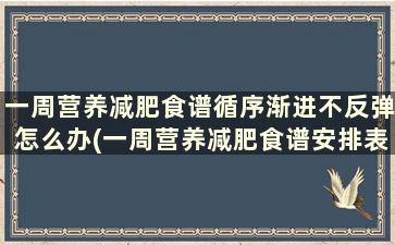 一周营养减肥食谱循序渐进不反弹怎么办(一周营养减肥食谱安排表)