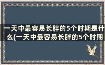 一天中最容易长胖的5个时期是什么(一天中最容易长胖的5个时期是哪一天)