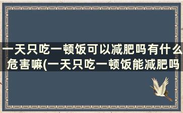 一天只吃一顿饭可以减肥吗有什么危害嘛(一天只吃一顿饭能减肥吗)