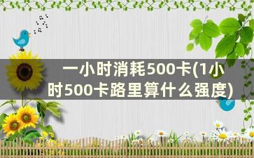 一小时消耗500卡(1小时500卡路里算什么强度)