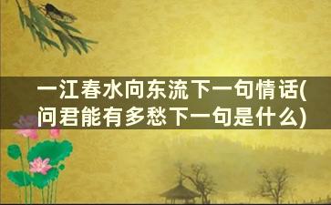 一江春水向东流下一句情话(问君能有多愁下一句是什么)