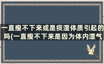 一直瘦不下来或是痰湿体质引起的吗(一直瘦不下来是因为体内湿气重吗)