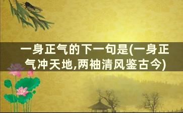 一身正气的下一句是(一身正气冲天地,两袖清风鉴古今)