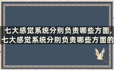 七大感觉系统分别负责哪些方面,七大感觉系统分别负责哪些方面的工作