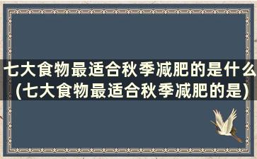 七大食物最适合秋季减肥的是什么(七大食物最适合秋季减肥的是)