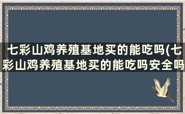 七彩山鸡养殖基地买的能吃吗(七彩山鸡养殖基地买的能吃吗安全吗)