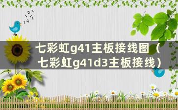 七彩虹g41主板接线图（七彩虹g41d3主板接线）