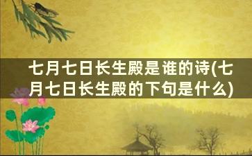 七月七日长生殿是谁的诗(七月七日长生殿的下句是什么)