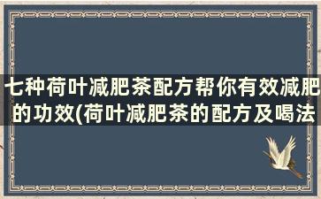 七种荷叶减肥茶配方帮你有效减肥的功效(荷叶减肥茶的配方及喝法)