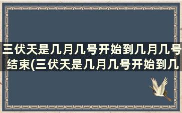 三伏天是几月几号开始到几月几号结束(三伏天是几月几号开始到几月几号结束)