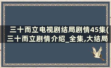 三十而立电视剧结局剧情45集(三十而立剧情介绍_全集,大结局分集剧情介绍)