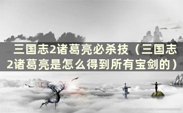 三国志2诸葛亮必杀技（三国志2诸葛亮是怎么得到所有宝剑的）