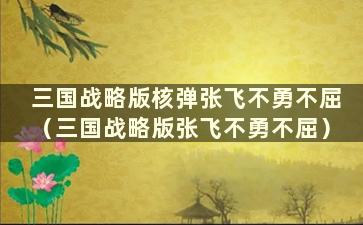 三国战略版核弹张飞不勇不屈（三国战略版张飞不勇不屈）