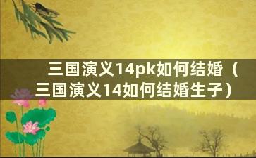 三国演义14pk如何结婚（三国演义14如何结婚生子）