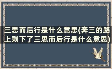 三思而后行是什么意思(奔三的路上剩下了三思而后行是什么意思)