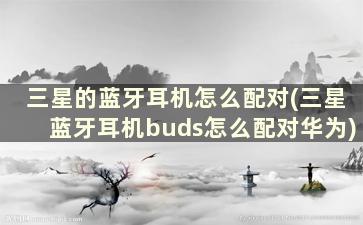 三星的蓝牙耳机怎么配对(三星蓝牙耳机buds怎么配对华为)