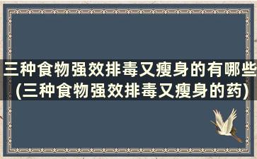 三种食物强效排毒又瘦身的有哪些(三种食物强效排毒又瘦身的药)