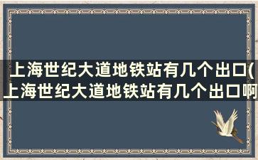 上海世纪大道地铁站有几个出口(上海世纪大道地铁站有几个出口啊)