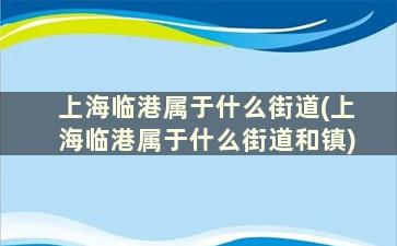 上海临港属于什么街道(上海临港属于什么街道和镇)