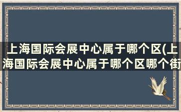 上海国际会展中心属于哪个区(上海国际会展中心属于哪个区哪个街道)