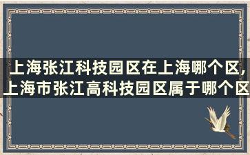 上海张江科技园区在上海哪个区,上海市张江高科技园区属于哪个区