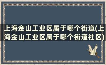 上海金山工业区属于哪个街道(上海金山工业区属于哪个街道社区)