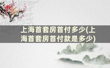 上海首套房首付多少(上海首套房首付款是多少)